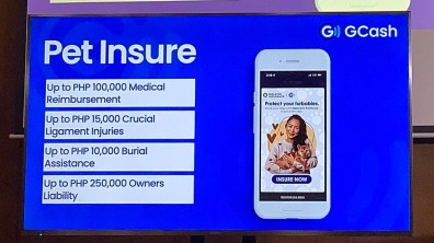 GInsure Pet Insure