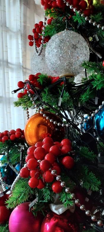 Sample Shots - Galaxy A23 5G - 20221122_143525-min