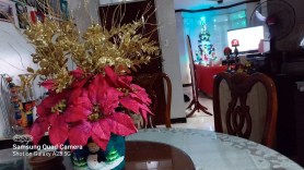 Sample Shots - Galaxy A23 5G - 20221204_200341-min