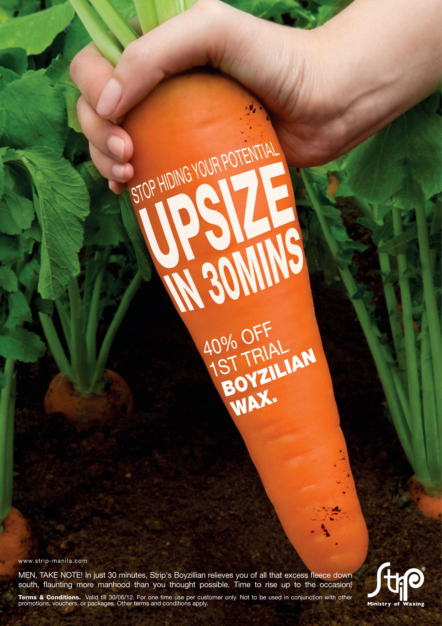 The City Roamer - Strip Ministry of Waxing- Boyzilian