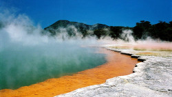 New Zealand - Rotorua