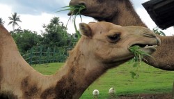 My Winning Shot - Seize the Day - HP Ink Advantage