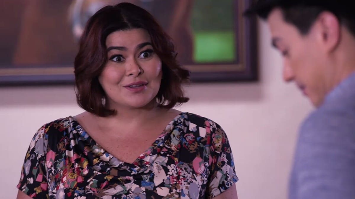 Aiko Melendez in Wildflower TV Series