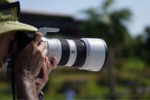 Taking photographs with Sony Alpha 1 ILCE-1 and G Master SEL70200GM2