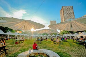 Activities you can enjoy at Greenfield District